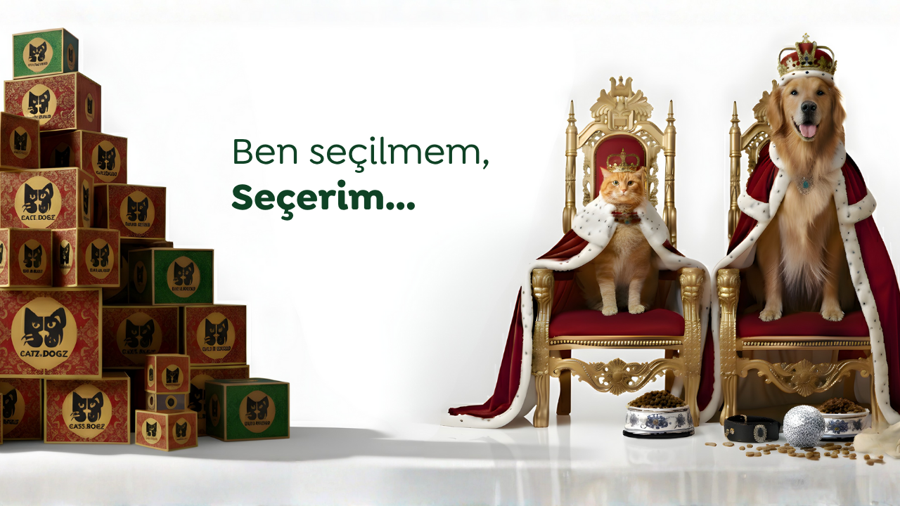 slider image slider_item_HkT8QF