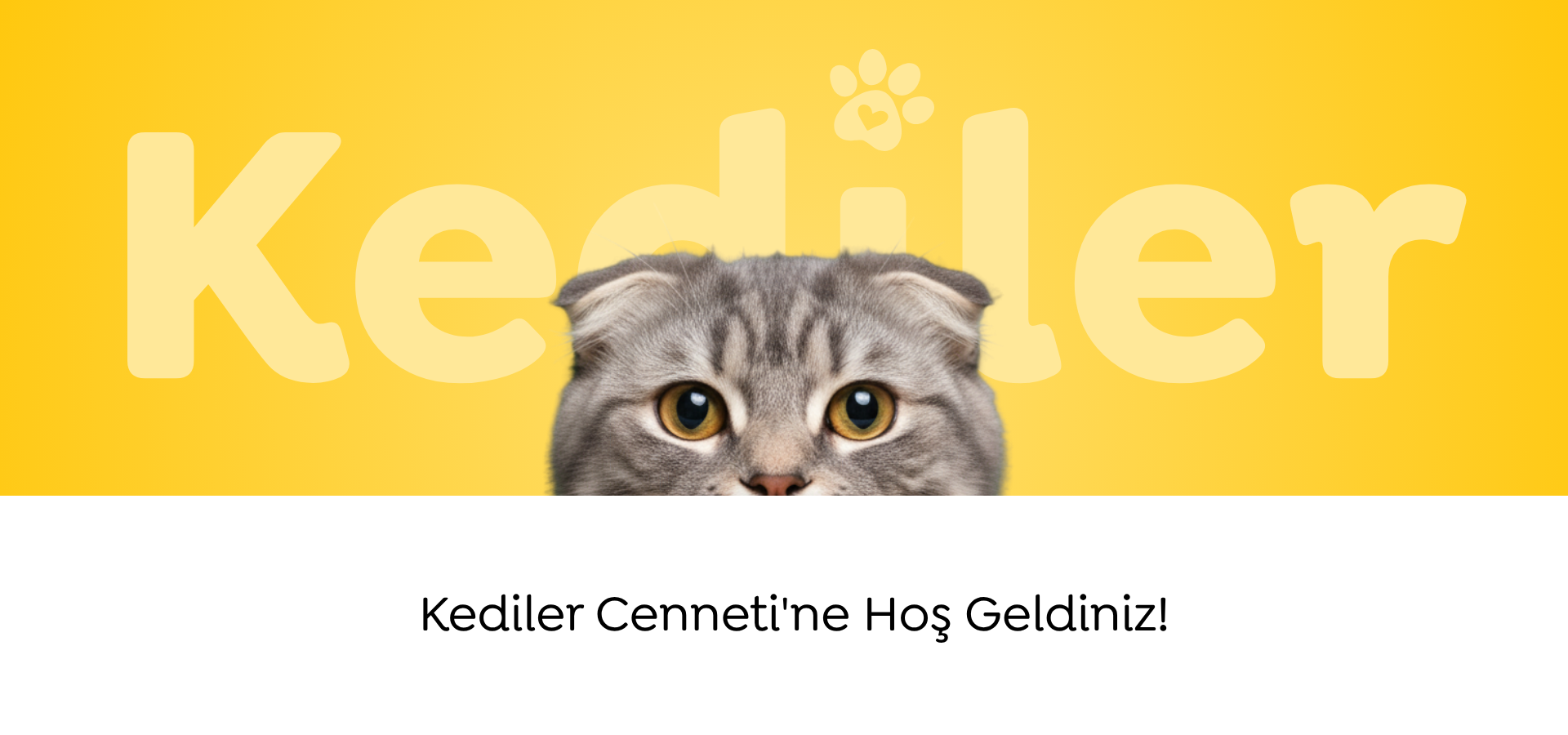 slider image slider_item_43DX7Y