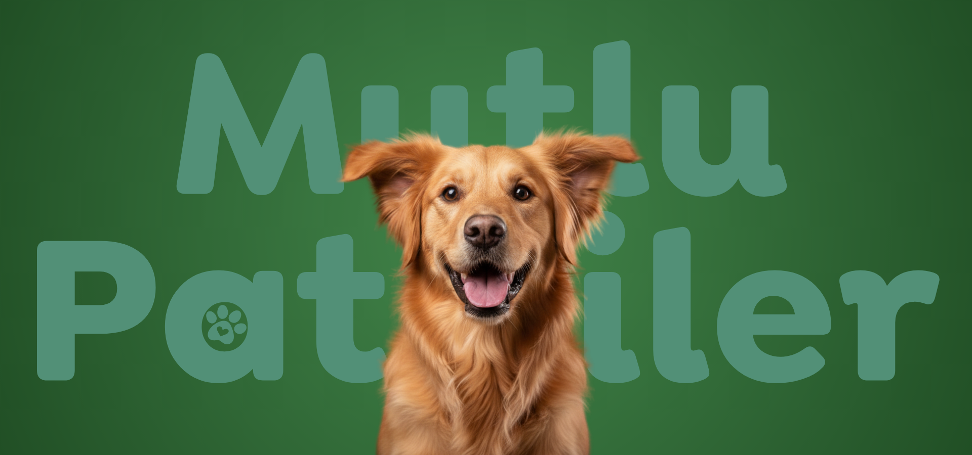 slider image slider_item_43DX7Y