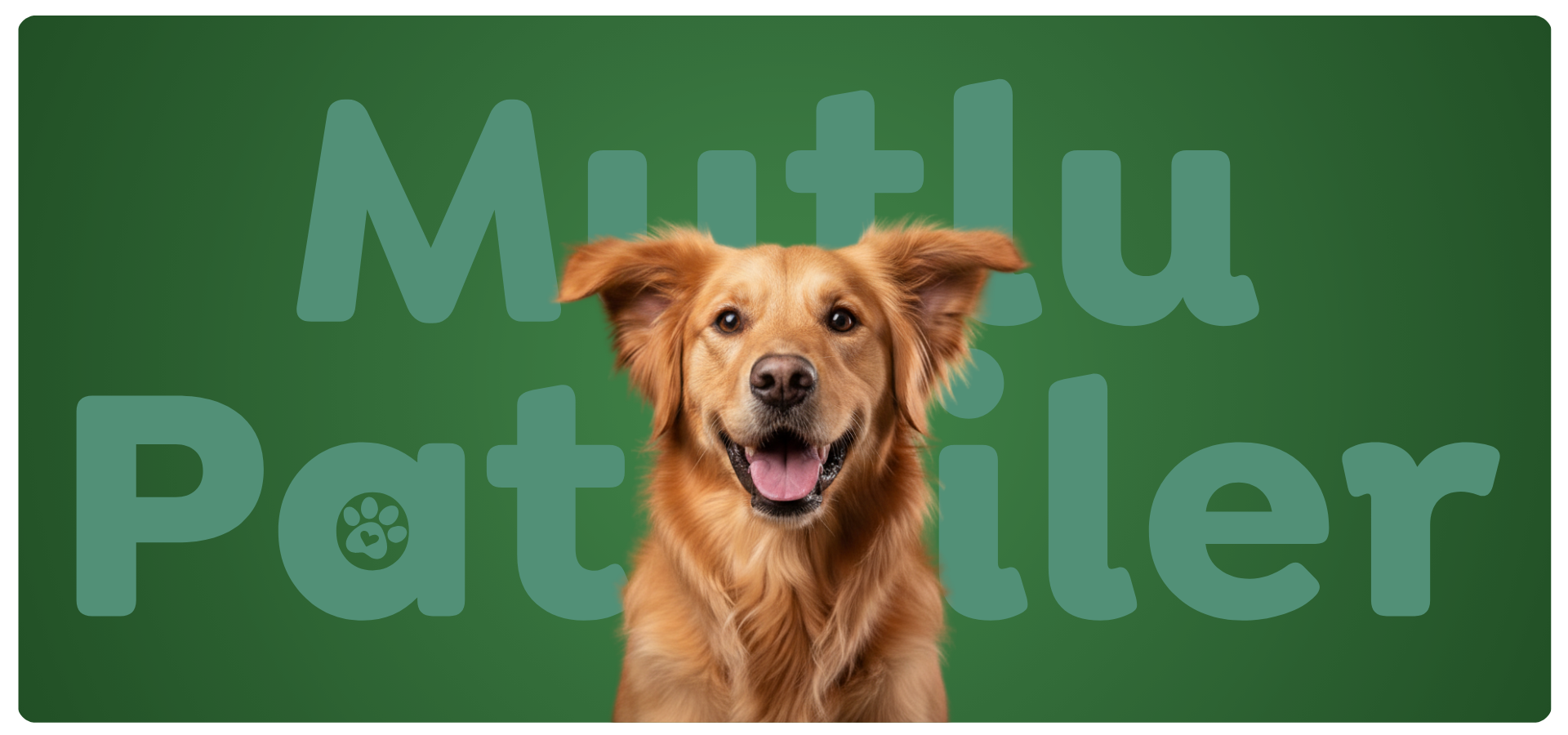 slider image slider_item_43DX7Y