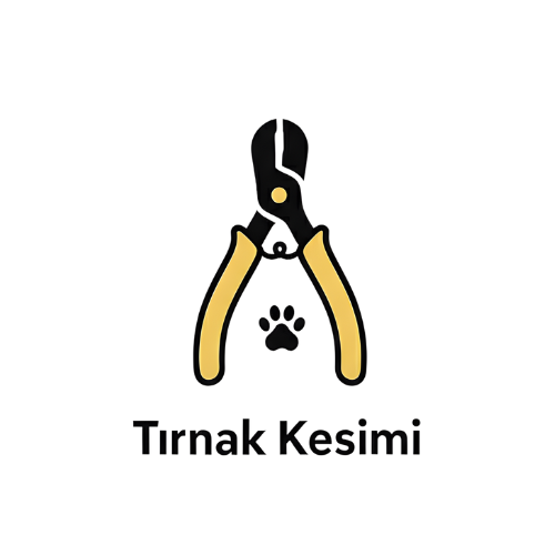 Kedi ve kopek tirnak kesimi - guvenli hijyenik ve profesyonel bakim | Catz and Dogz
