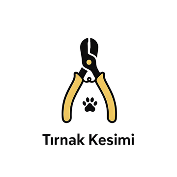 Kedi ve kopek tirnak kesimi - guvenli hijyenik ve profesyonel bakim | Catz and Dogz