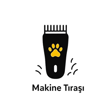 Köpek ve kedi makine tıraşı hizmeti – kısa tüy bakımı ve yazlık kesim | Catz & Dogz Kuaför