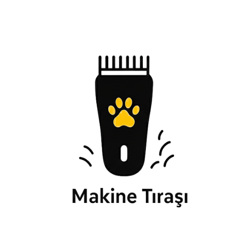 Köpek ve kedi makine tıraşı hizmeti – kısa tüy bakımı ve yazlık kesim | Catz & Dogz Kuaför