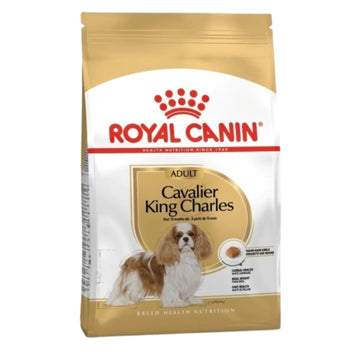 Royal Canin Cavalier King Charles 27 Yetişkin Köpek Maması 1.5kg