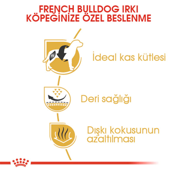 Royal Canin French Bulldog Yetişkin Köpek Maması 3kg