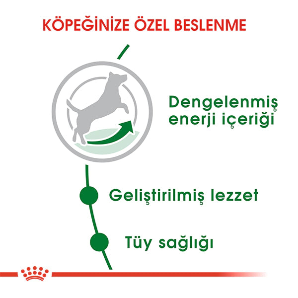 Royal Canin Mini Küçük Irk Yetişkin Köpek Maması 2kg