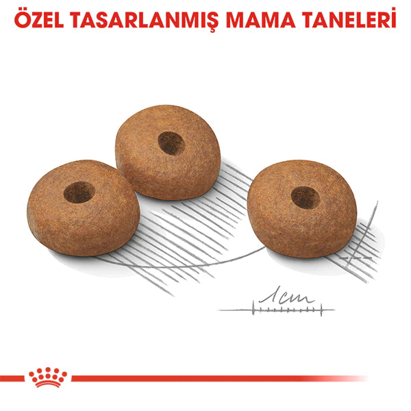 Royal Canin Light Weight Care Mini Yetişkin Köpek Maması 3kg