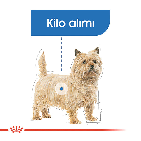 Royal Canin Light Weight Care Mini Yetişkin Köpek Maması 3kg