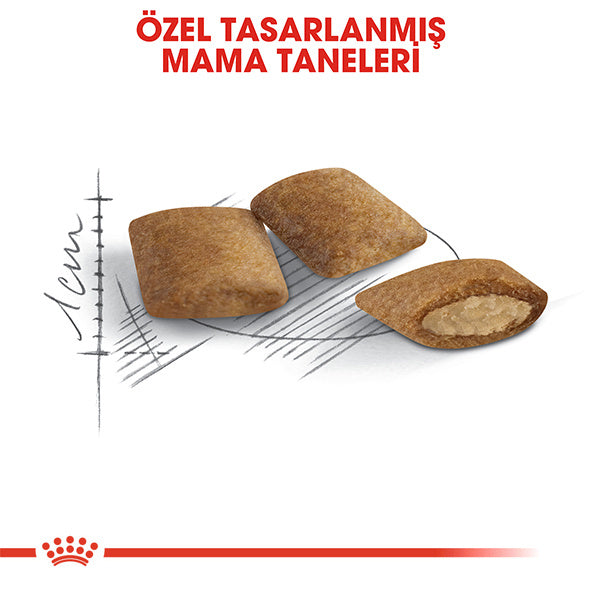 Royal Canin Ageing 12+ Yaş Üzeri Yaşlı Kedi Maması 2kg