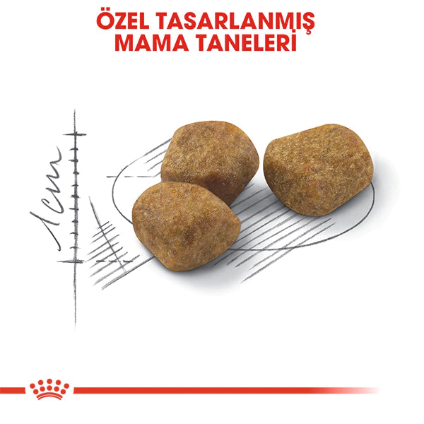 Royal Canin Indoor 7+ Ev Kedileri Yaşlı Kedi Maması 3.5kg