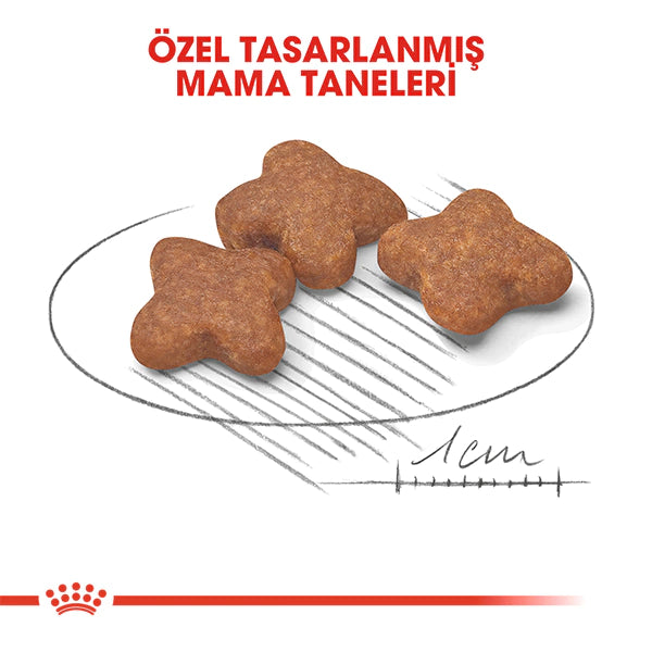 Royal Canin Mini 8+ Küçük Irk Yaşlı Köpek Maması 2kg