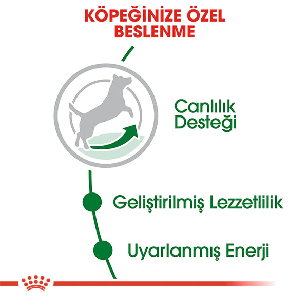 Royal Canin Mini 8+ Küçük Irk Yaşlı Köpek Maması 2kg
