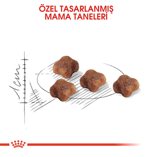 Royal Canin Mother&Babycat Yavru Kedi Maması 4kg