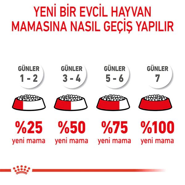 Royal Canin Kitten 36 Yavru Kedi Maması 10kg