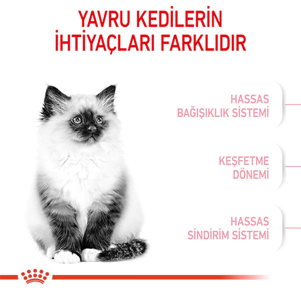 Royal Canin Kitten 36 Yavru Kedi Maması 10kg