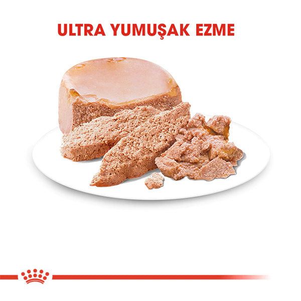 Royal Canin Starter Anne ve Yavru Köpek Konservesi 195gr