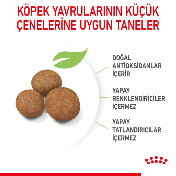 Royal Canin Maxi Puppy Büyük Irk Yavru Köpek Maması 15kg