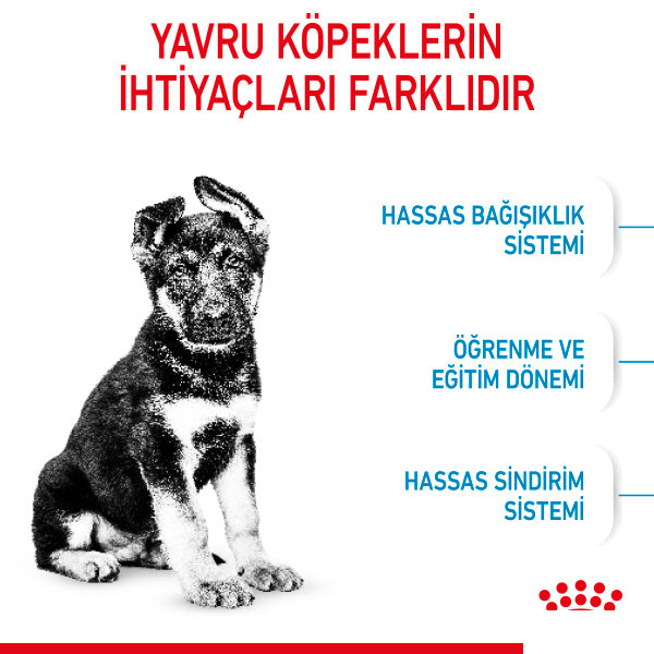 Royal Canin Maxi Puppy Büyük Irk Yavru Köpek Maması 15kg