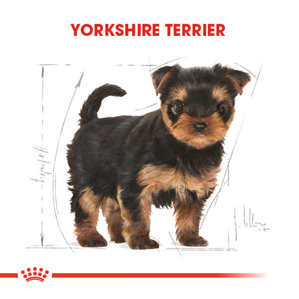 Royal Canin Yorkshire Terrier Junior Yavru Köpek Maması 1.5kg