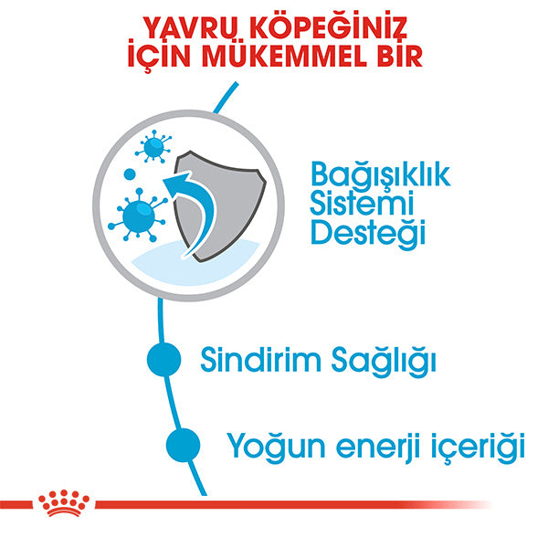 Royal Canin Mini Junior Küçük Irk Yavru Köpek Maması 4kg