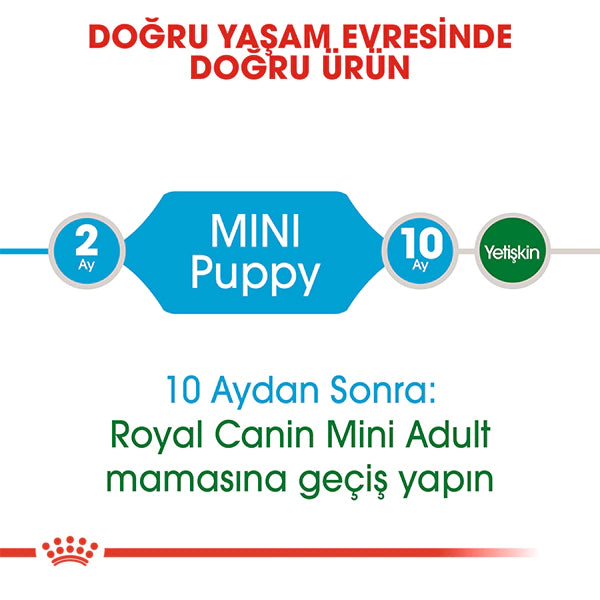 Royal Canin Mini Junior Küçük Irk Yavru Köpek Maması 4kg