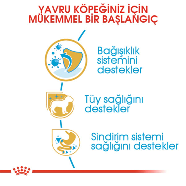 Royal Canin Poodle Puppy Caniche Yavru Köpek Maması 3kg