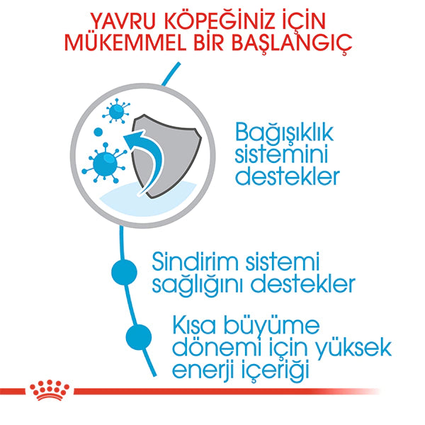 Royal Canin Medium Junior Orta Irk Yavru Köpek Maması 4kg