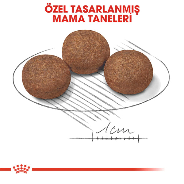 Royal Canin Medium Junior Orta Irk Yavru Köpek Maması 4kg