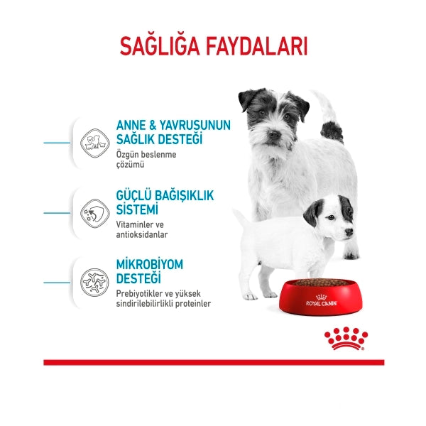 Royal Canin Mini Starter Mother & Babydog Küçük Irk Yavru Köpek Maması 4kg