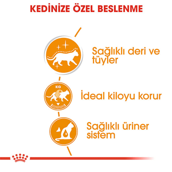 Royal Canin Intense Beauty Sos İçinde Yetişkin Kedi Konservesi 85gr