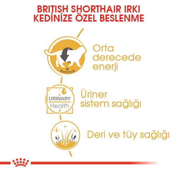 Royal Canin British Shorthair Adult Pouch Yetişkin Kedi Konservesi 85gr