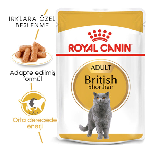 Royal Canin British Shorthair Adult Pouch Yetişkin Kedi Konservesi 85gr