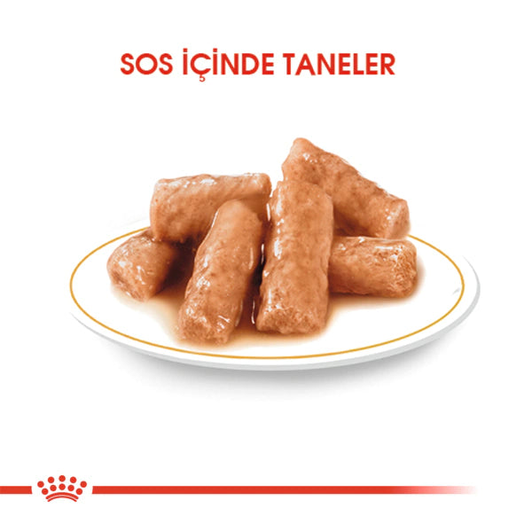 Royal Canin British Shorthair Adult Pouch Yetişkin Kedi Konservesi 85gr