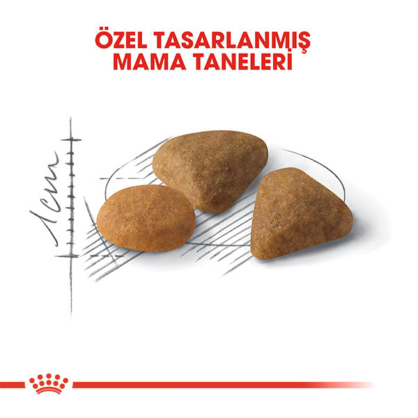 Royal Canin Savour Exigent 35/30 Seçici Kedilere Özel Kedi Maması 2kg