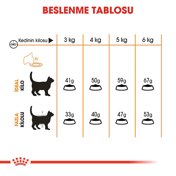 Royal Canin Hair & Skin Hassas Tüylü Kedi Maması 4kg