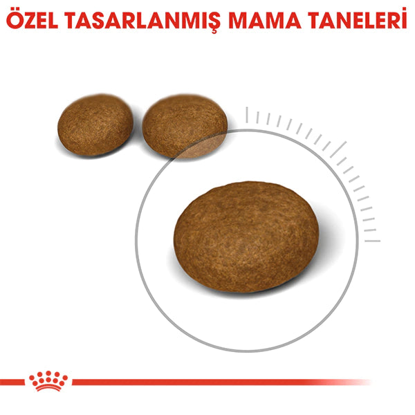 Royal Canin Hair & Skin Hassas Tüylü Kedi Maması 4kg
