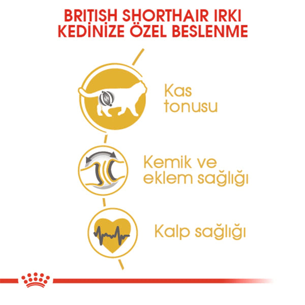 Royal Canin British Shorthair Yetişkin Kedi Maması 4kg
