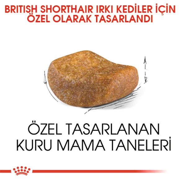 Royal Canin British Shorthair Yetişkin Kedi Maması 4kg
