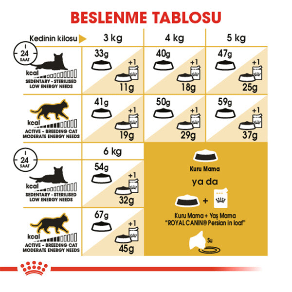 Royal Canin İran Kedisi Yetişkin Kedi Maması 4kg