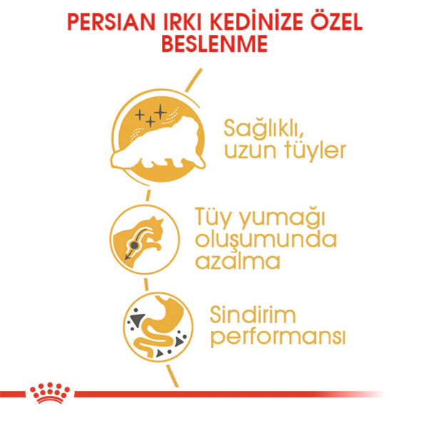 Royal Canin İran Kedisi Yetişkin Kedi Maması 4kg