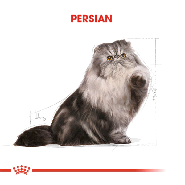 Royal Canin İran Kedisi Yetişkin Kedi Maması 4kg