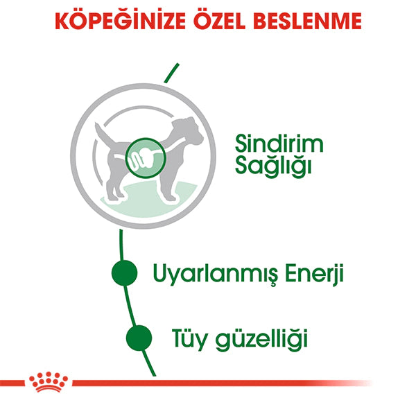 Royal Canin Küçük Irk Yetişkin Köpek Konservesi 85gr