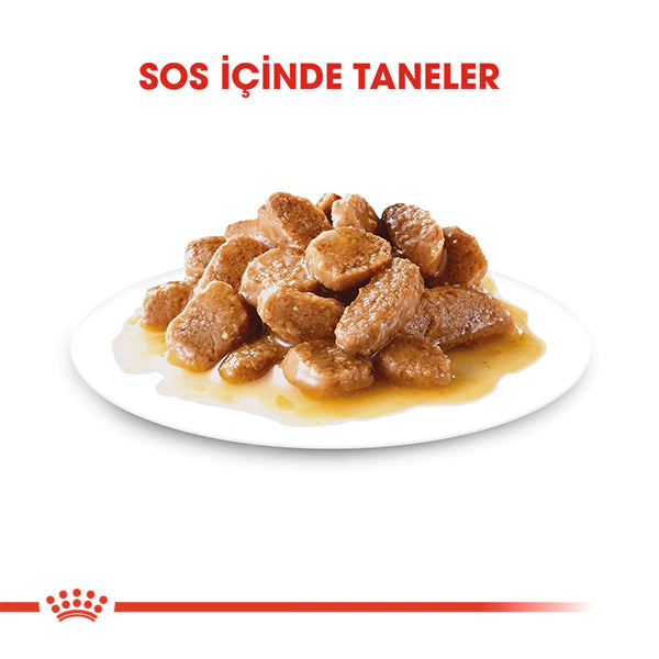 Royal Canin Küçük Irk Yetişkin Köpek Konservesi 85gr