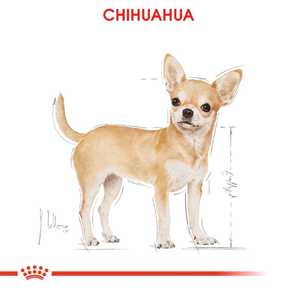 Royal Canin Chihuahua Yetişkin Köpek Konservesi 85gr