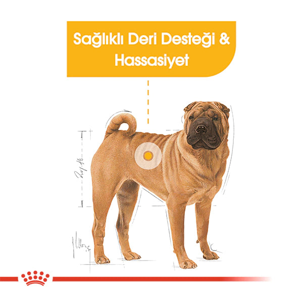 Royal Canin Medium Dermacomfort Orta Irk Köpek Maması 12kg