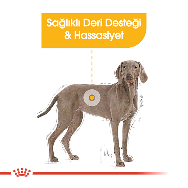 Royal Canin Dermacomfort Maxi Yetişkin Köpek Maması 12kg