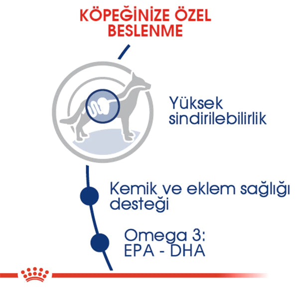 Royal Canin Maxi Büyük Irk Yetişkin Köpek Maması 15kg