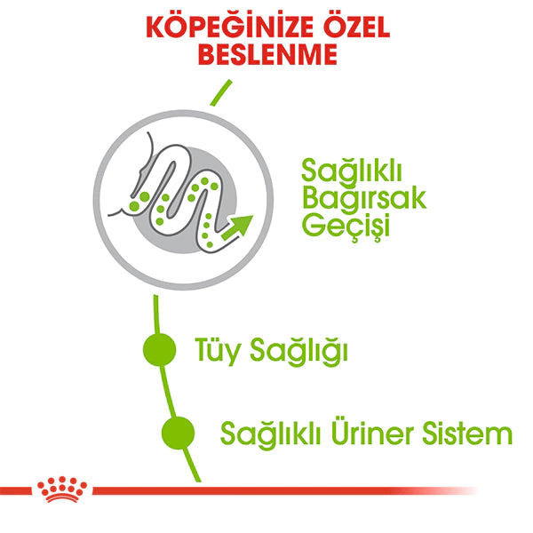 Royal Canin X-Small Küçük Irk Yetişkin Köpek Maması 1.5kg