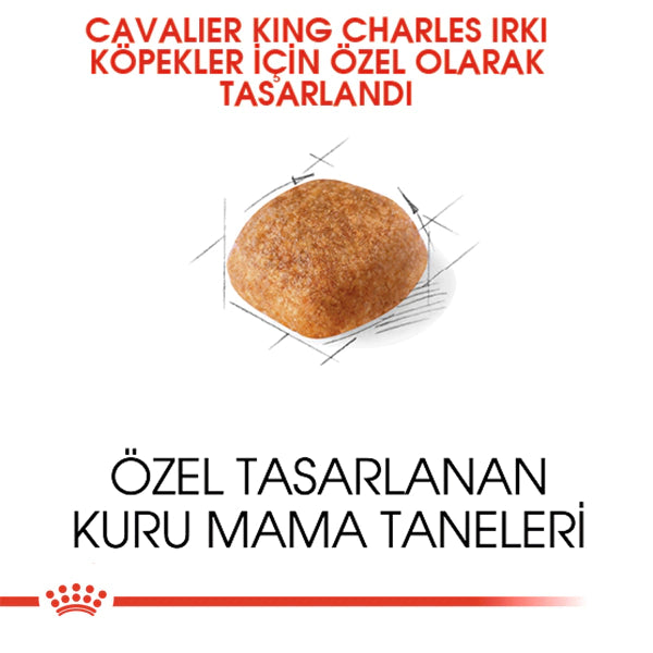 Royal Canin Cavalier King Charles 27 Yetişkin Köpek Maması 1.5kg